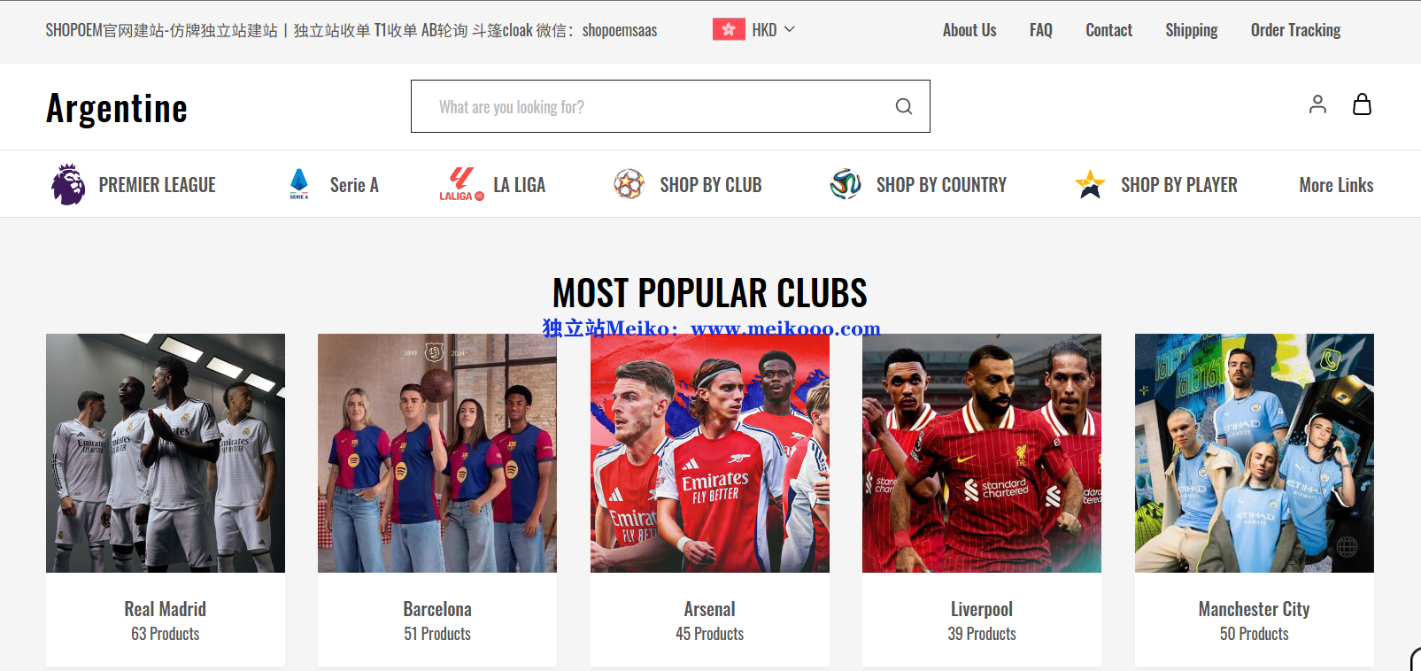 广州包表、莆田系商品独立站收款：信用卡通道插图1SHOPOEM独立站建站wechat_2025 06 19_092817_777.png